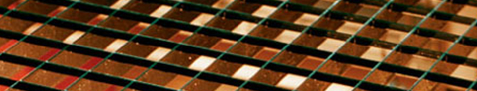 Hekwerk Rotterdam sierhek | VanRooy.nl